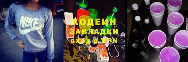 ГАЛЛЮЦИНОГЕННЫЕ ГРИБЫ Лагань