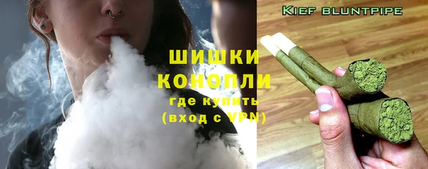 ГАЛЛЮЦИНОГЕННЫЕ ГРИБЫ Лагань