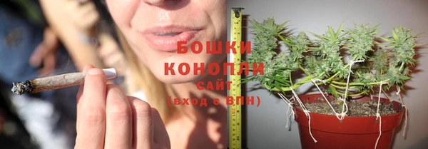 гидра Лабытнанги