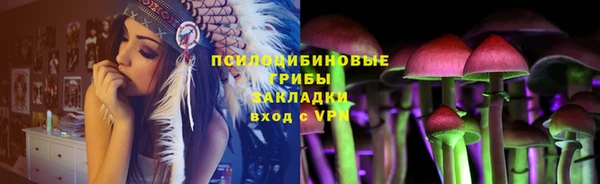 гидра Лабытнанги