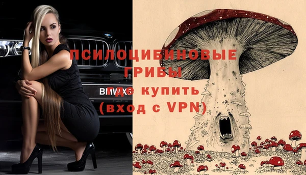 ГАЛЛЮЦИНОГЕННЫЕ ГРИБЫ Лагань