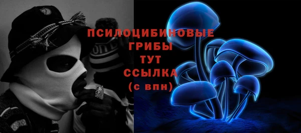 гидра Лабытнанги