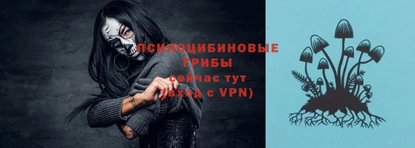 гидра Лабытнанги