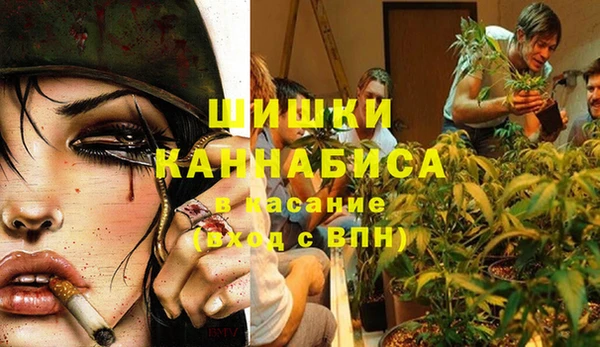 трава Мурманск