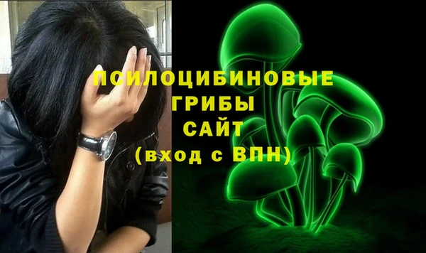 ГАЛЛЮЦИНОГЕННЫЕ ГРИБЫ Лагань