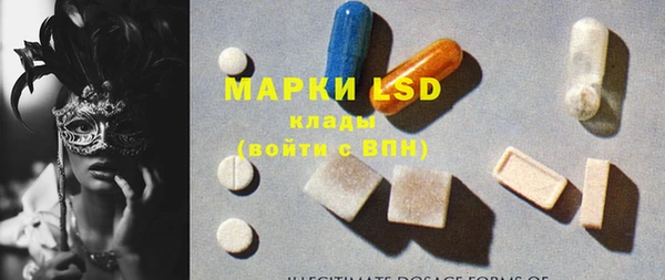 ГАЛЛЮЦИНОГЕННЫЕ ГРИБЫ Лагань