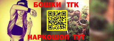 гидра Свободный
