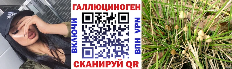 Псилоцибиновые грибы мухоморы  Ялта 